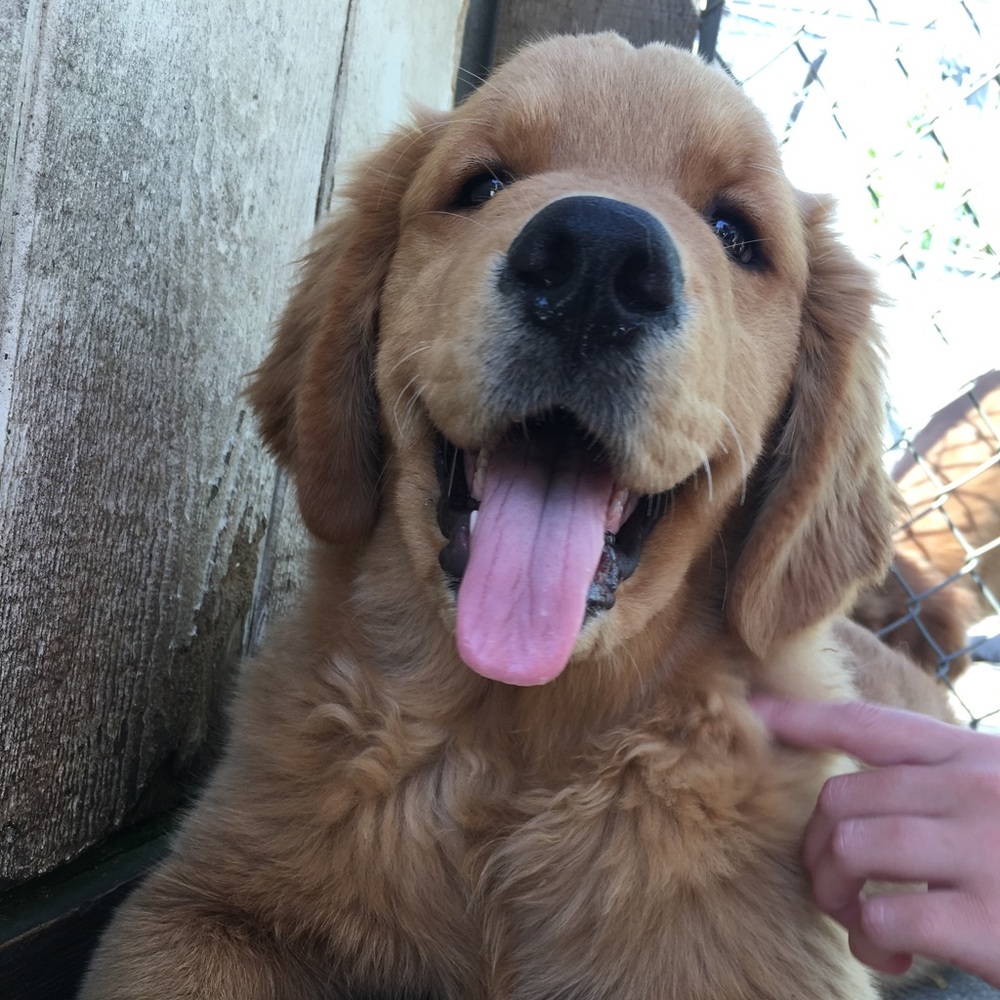 Meet your Posher, Kristen